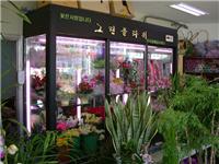 上海鲜花柜，上海鲜花柜厂家，上海鲜花柜价格，上海鲜花柜供应，上海有卖鲜花柜