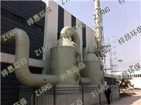 浙江义乌温州橡胶厂废气处理设备