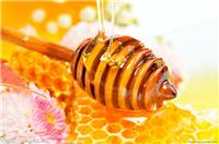 土耳其进口蜂蜜代理清关