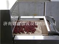 大枣红枣微波干燥杀菌设备