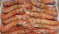 长期批发销售冷冻红虾 越南对虾 冷冻水副产品全国免费送货上门
