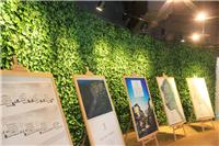 人造植物墙,仿真植物墙,假植物墙,工程绿化植物墙,墙面绿化装饰