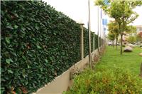 浙江明筑护栏隔离材料,篱笆材料,植物篱笆,护栏装饰材料,篱笆护栏材料