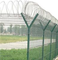 高品质监护护栏网|监狱护栏网规格|监狱护栏网生产厂家