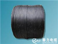 黑皮线|室外电缆|铝芯黑皮电缆