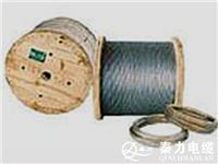 钢芯铝绞线|陕西钢芯铝绞线厂家|LGJ价格