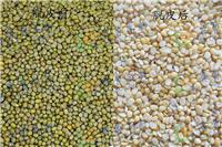 Professional mung bean peeling machine off the net once dry processing saves time and effort