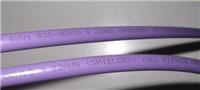 紫色电缆双芯带屏蔽功能