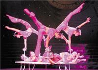 Service performant adapté acrobatique | prix raisonnable pour acheter arts du cirque vêtements de performance, sont allés à Pékin Hyun danse libellule