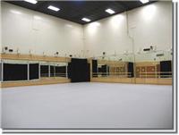 长盈专业舞蹈形体房地板舞蹈形体房塑胶地板塑胶舞蹈形体房地板