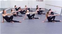 舞蹈专业运动地板舞蹈房地胶板
