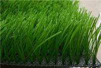人造草坪、人造草专业生产厂家，密度、高度可定做N5011 红