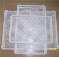 塑料單凍盤子 單凍盤子廠家 單凍盤質量