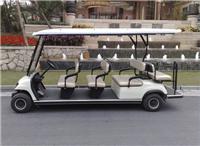 供应十一座电动高尔夫旅游观光车，四轮电动车