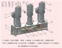 10KV高压真空断路器ZW32系列|10KV户外真空断路器价格