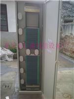 576 core network cabinet ODF