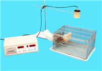 大鼠自主活动记录仪，小动物活动记录仪，小动物自主活动记录仪