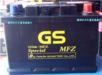 菲亚特派力奥汽车蓄电池统一电池GS12V55AH