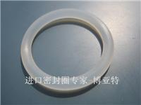 Dust import O-ring