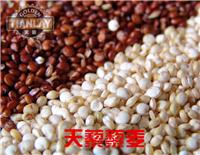 广东省*健康**食品招商可以选择品牌天藜藜麦原粮进口