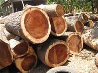 东莞木业公司-香花梨专售，一手货源，价格优惠