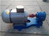 小型齿轮泵，油渣分离机泵，220V齿轮泵，小流量齿轮泵，微型齿轮泵