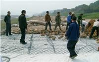 抗洪护堤网栏是石笼网众多产品中的一款，飞腾按需定制