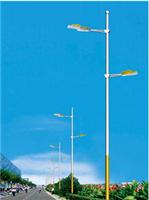 扬州LED路灯杆 250wLED灯具 优质LED路灯头供应