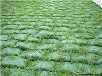 Qinghai vegetation vegetation bags bag manufacturers