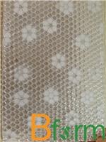 100 进口高档生态树脂板，上海艺岛公司-透光树脂板*