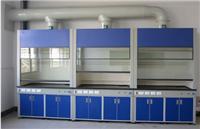 Laboratory Fume Hoods