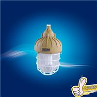 BAD81 explosion proof BAD81 CFL CFL prices