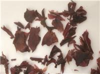 供应掌状红皮藻dulse  果冻胶水用的海藻 卡拉胶原料