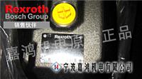 Rexroth A10VSO45DFR1 / 31R-PPA12N00