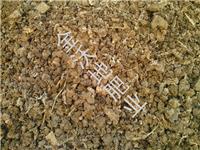 Natural dry manure supply, gold Fertile natural dry chicken manure