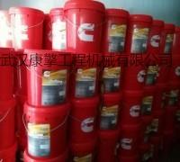Cummins for oil 18-45 (4295668-10)