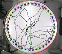 Behavior whole laboratory, behavioral science experiment station, behavioral experiments planning