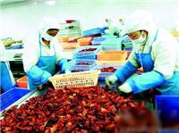 武汉虾龙水产养殖不因龙虾门时间改变上市进程
