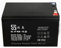 Supply of electric car battery 48V12AH battery