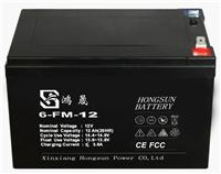 Lieferung von Elektro-Auto-Batterie 48V12AH Batterie