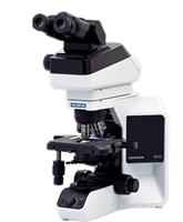 olympus BX43 microscope