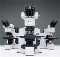 olympus BX51M microscope