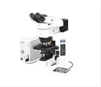olympus BX61 microscope
