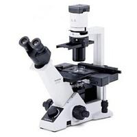 olympus CKX31 microscope