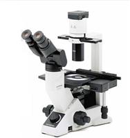 olympus CKX41 microscope
