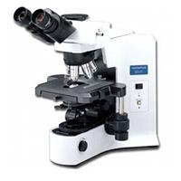 olympus CX41 microscope