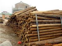 Merbau, Nanyang h?lzerne Schatz, Pockholz Holzspitze, grandis Jade Sandelholz Sandelholz Ausfuhranmeldung Citrus
