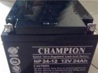 Champion Battery NP24-12