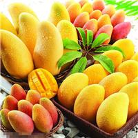Shanghai Airport fruit import clearance