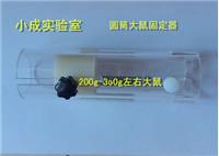 大鼠固定器  板式和筒式 现货 北京厂家直销